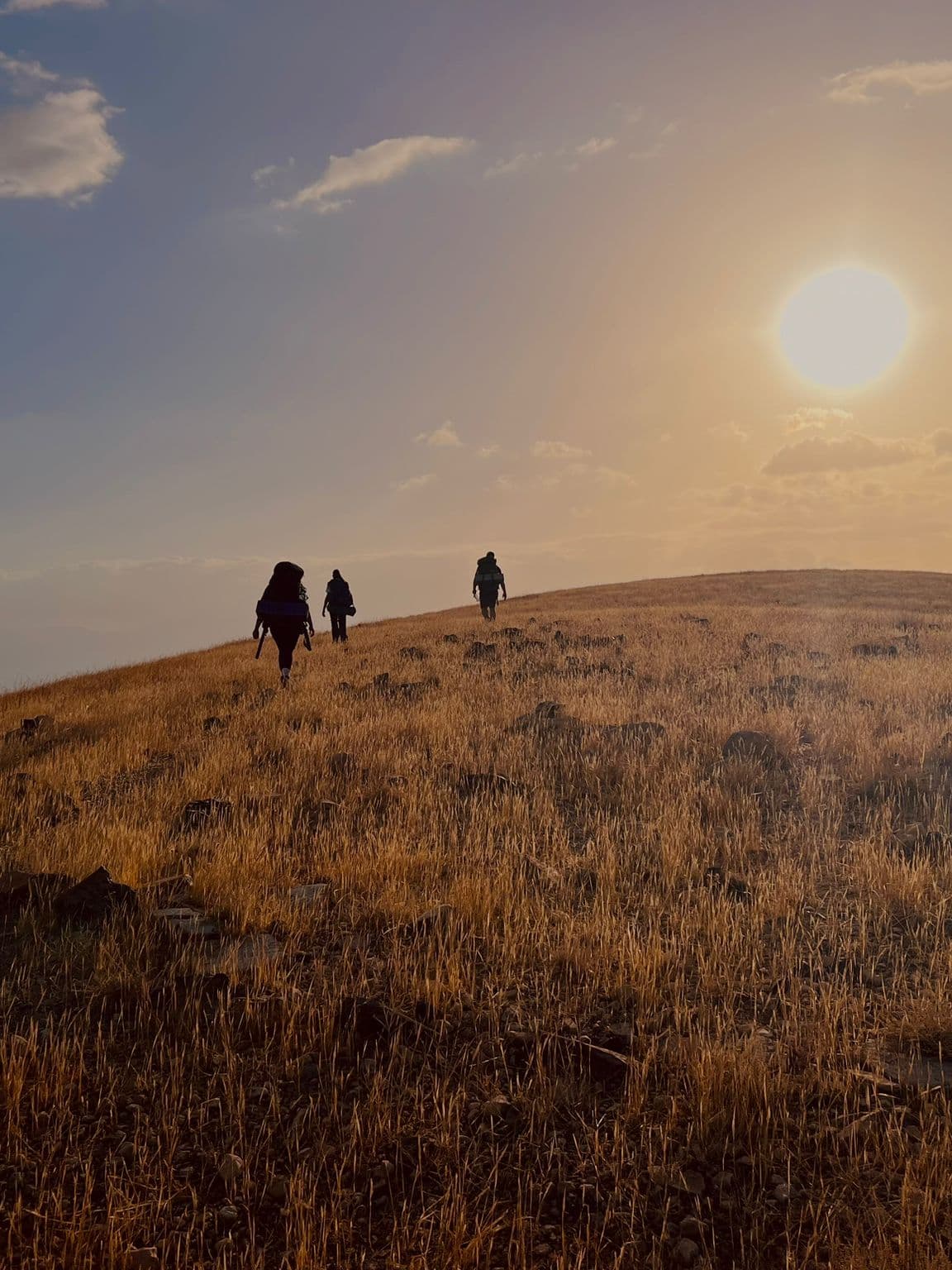 מקטע 3 - מרועי לגדי