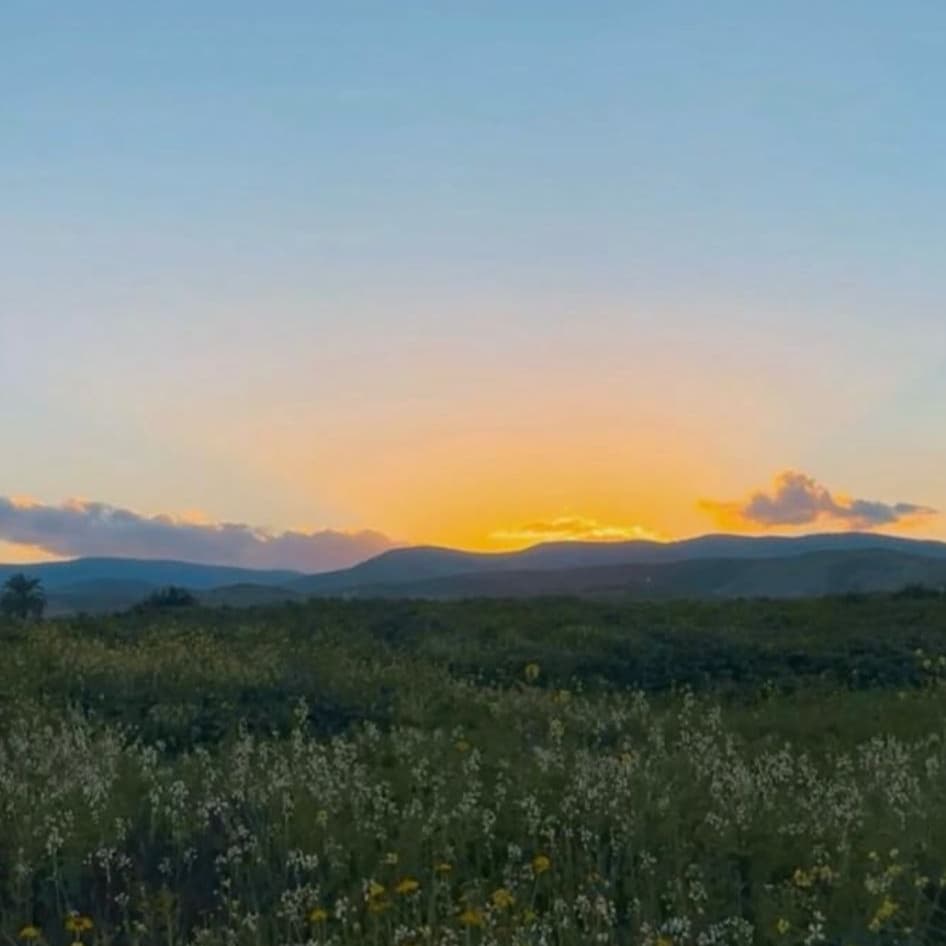 מקטע 5 - מפצאל לחוות מלאכי השלום